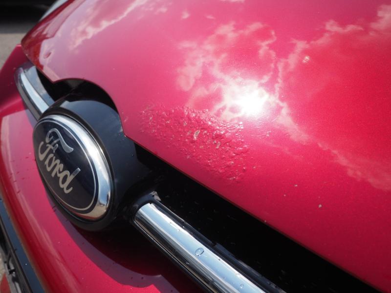 Ford Focus Titanium 1,0 EcoBoost