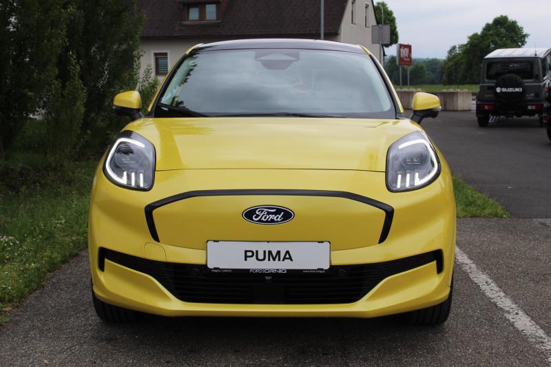 Puma Gen-E Premium 43kWh 168PS A1