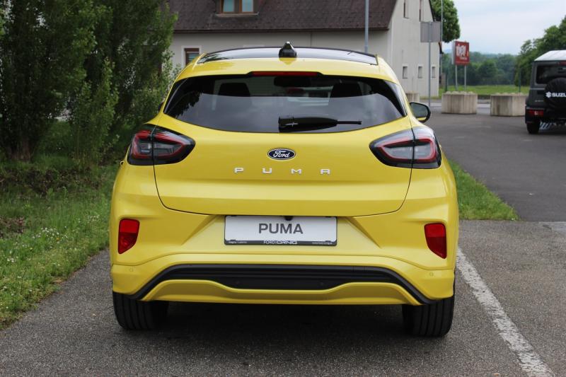 Puma Gen-E Premium 43kWh 168PS A1