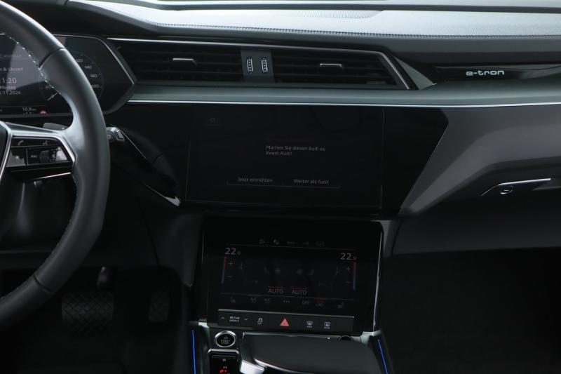 Audi Q8 50 e-tron quattro business