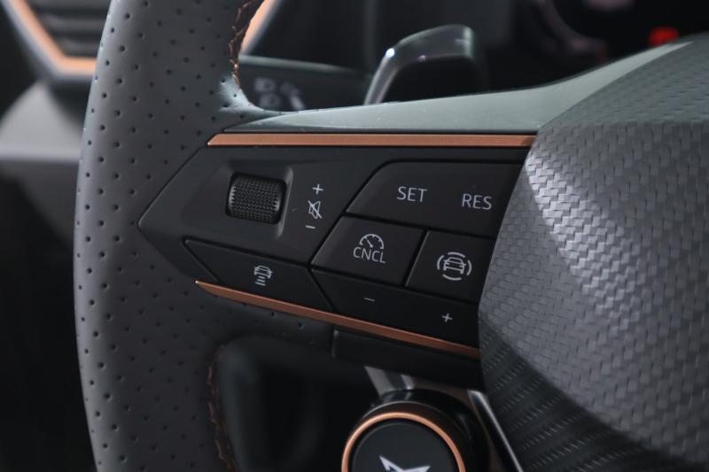 CUPRA Formentor 2.0 TDI 150 PS DSG