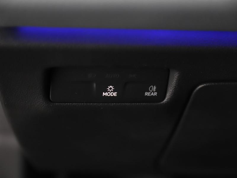 VW Passat Variant Business TDI DSG