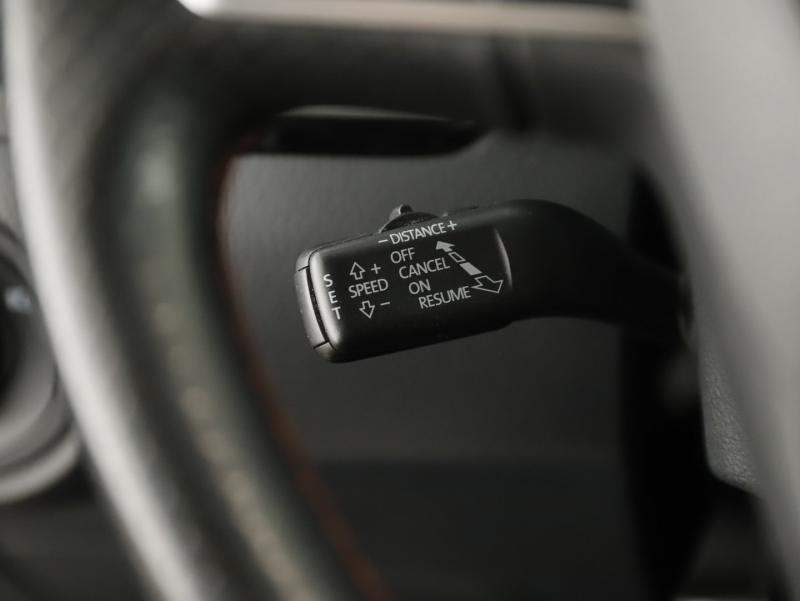 SEAT Alhambra Xcellence TDI DSG