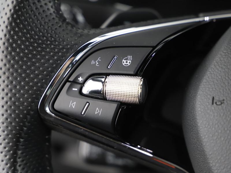 Škoda OCTAVIA RS iV 245 DSG