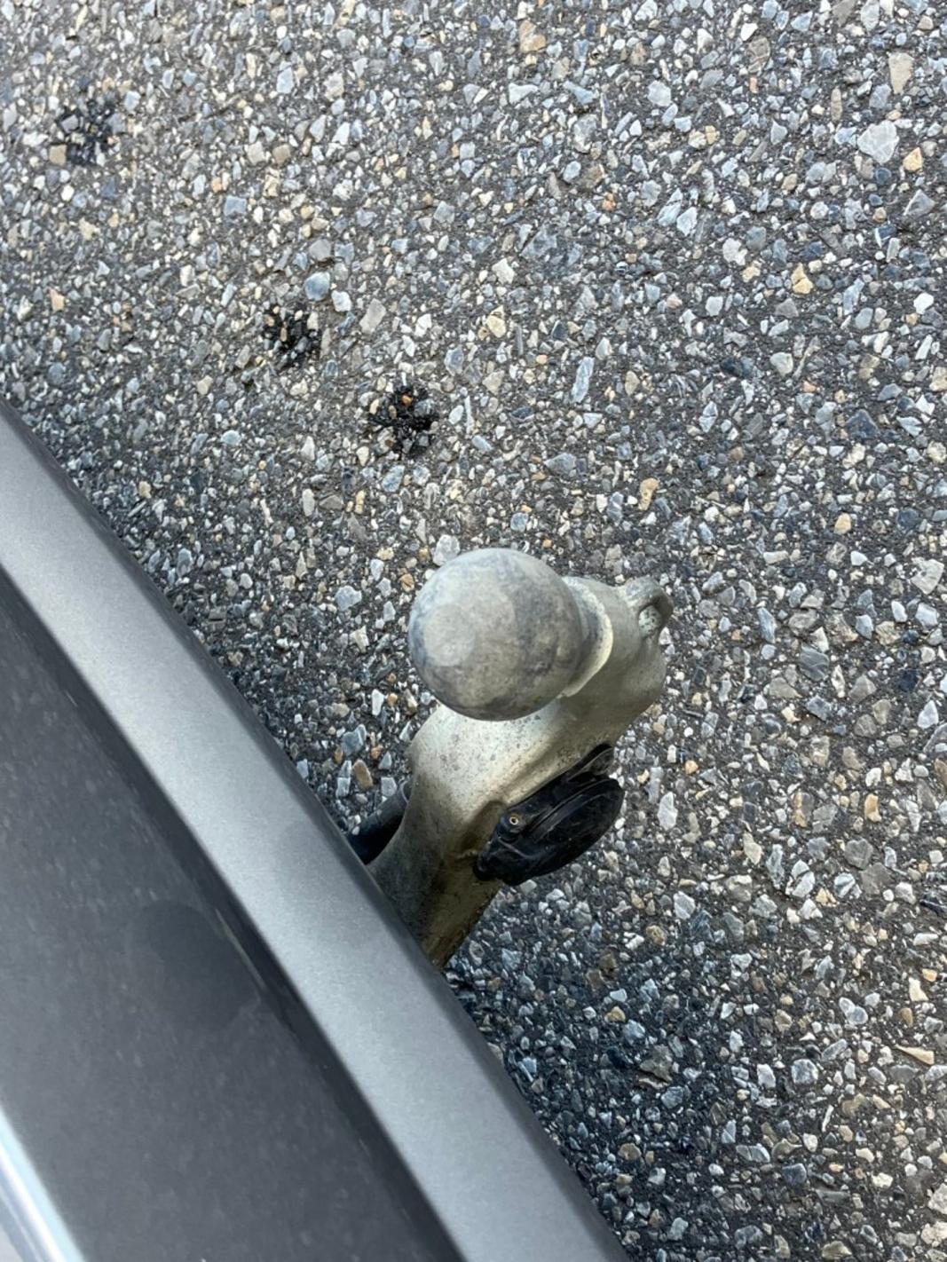 BMW X5 PHEV xDrive40e Österreich-Paket Aut.