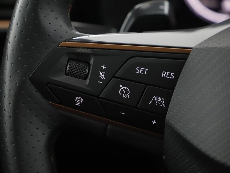 CUPRA Formentor 2.0 TDI 150 PS DSG 4Drive