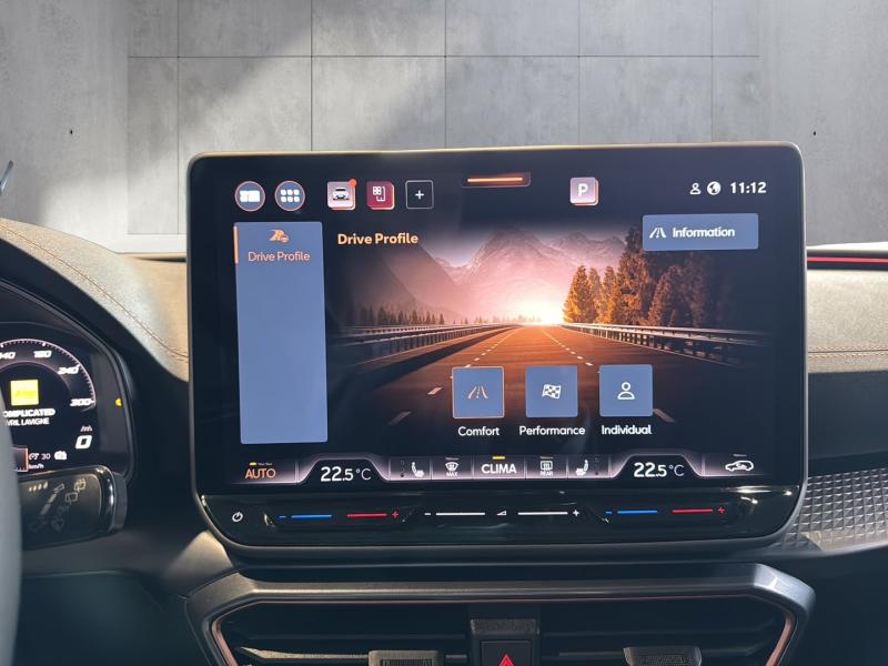 CUPRA Formentor 2.0 TDI 150 PS DSG