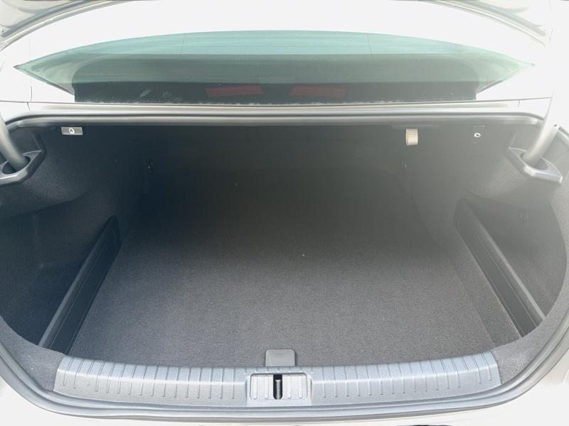 VW Passat Business TDI DSG