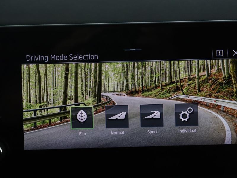 Škoda Kamiq Selection TSI DSG