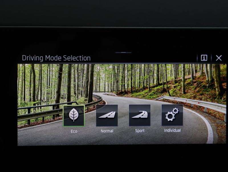 Škoda Kamiq Selection TSI DSG