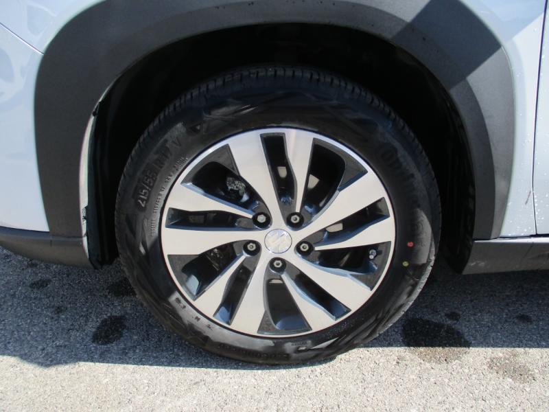 Suzuki S-Cross flash