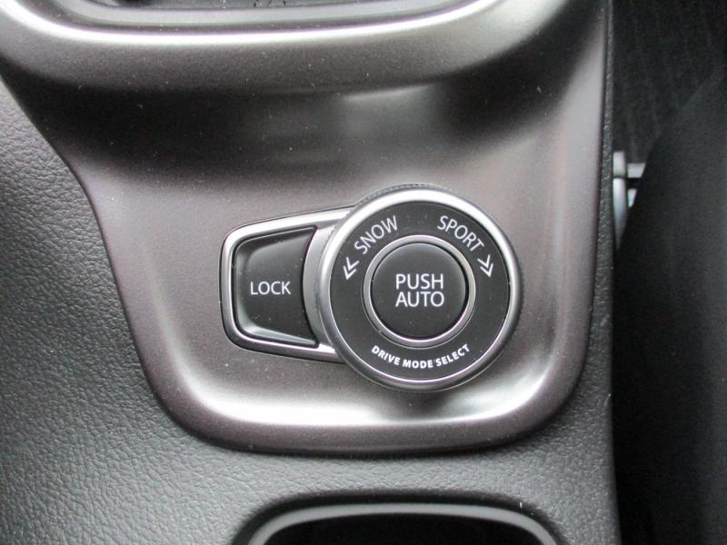 Suzuki Vitara ALLGRIP flash