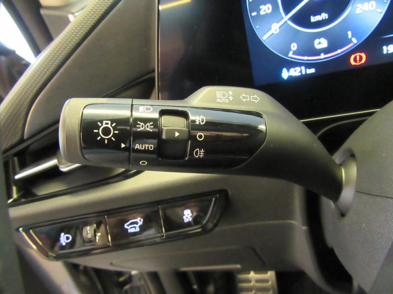 KIA Niro EV Platin Long Range 64kWh