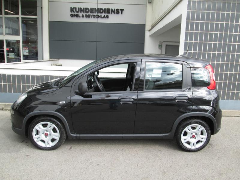 Fiat Panda 4x2 FireFly Hybrid 70 Panda