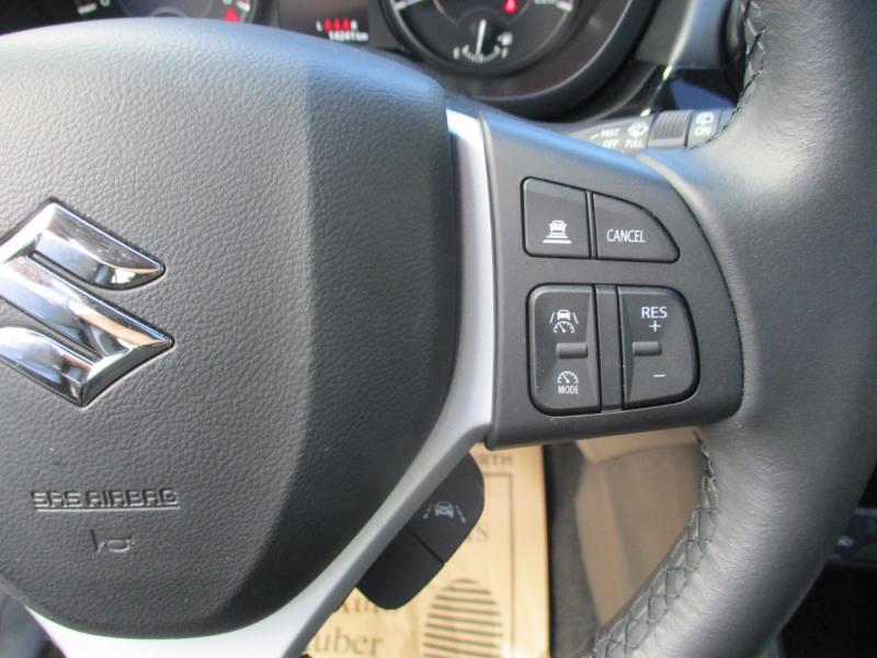 Suzuki S-Cross flash