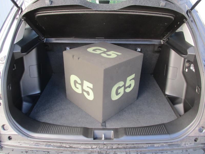 Suzuki S-Cross flash