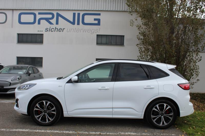 Kuga ST-Line X 2.0EcoBlue 190PS AWD Automatik A8