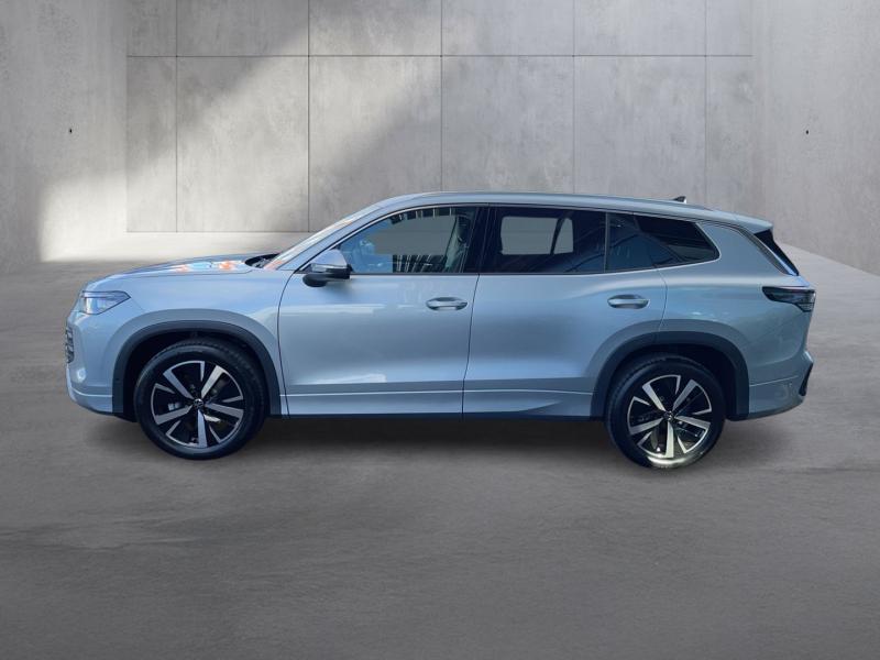 VW Tayron Friends TDI DSG