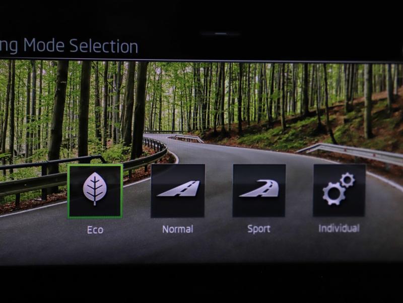 Škoda Kamiq Selection TSI DSG