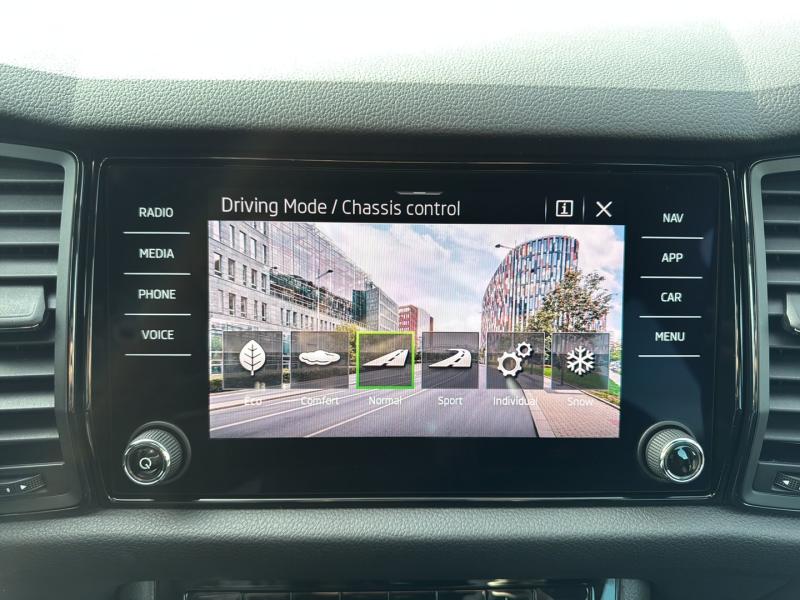Škoda KODIAQ 4x4 RS TDI DSG