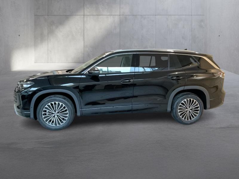 VW Tayron Friends TDI DSG