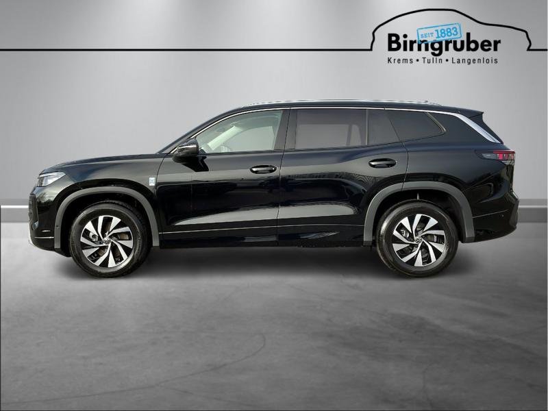 VW Tayron Friends TDI DSG