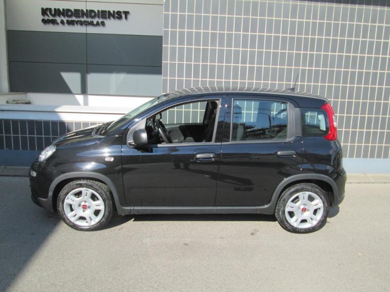 Fiat Panda 4x2 FireFly Hybrid 70 Pa
