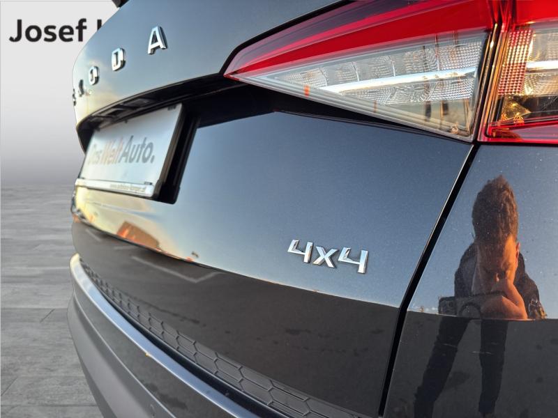 Škoda KODIAQ 4x4 Style 125 TDI DSG
