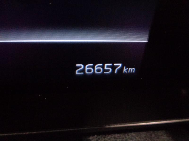 KIA Sportage 1.6 TGDI 48V DCT Silber